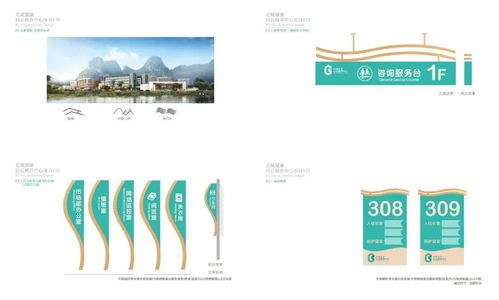 宝骐广西柳州白云颐养中心项目CI设计成果交付与旅游开发项目策划咨询