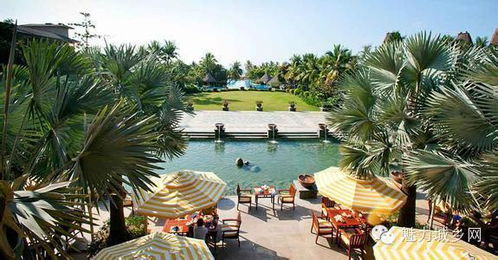 近十年休闲农业旅游实战项目梳理与经典策划全解析