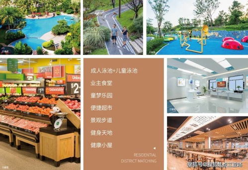 海南欢迎您｜打造旅游开发项目策划与线上购房咨询一体化服务